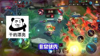 巨龙王者爆料视频下载大全